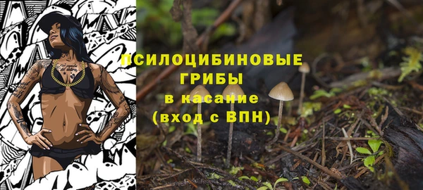 мяу мяу мука Волоколамск