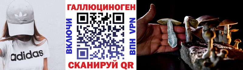 Псилоцибиновые грибы Magic Shrooms  kraken как войти  Щучье 