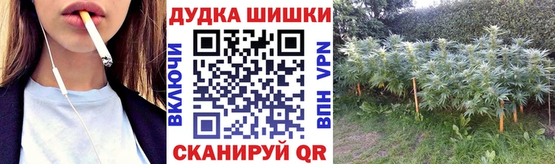 Бошки марихуана конопля  это как зайти  Щучье  купить закладку 